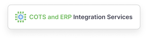 COTS and ERP Integration Services